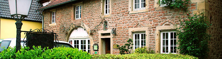 bandeau du haut